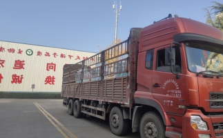 忙碌的五月，忙碌的發(fā)貨，金格瑞顆粒機生產(chǎn)線發(fā)往全國各地
